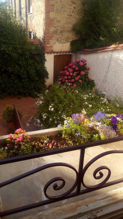Maison Chene Liege Maureillas Zewnętrze zdjęcie